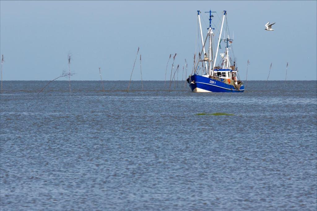 Cuxland-Ferienpark Nordseebad Dorum Exterior foto